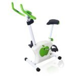 Apple Upright Bike (Imported)
